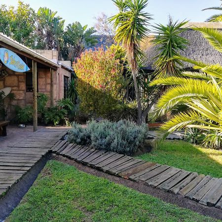 Saltycrax Backpackers And Surf Hostel By Curiocity Bloubergstrand Exteriör bild