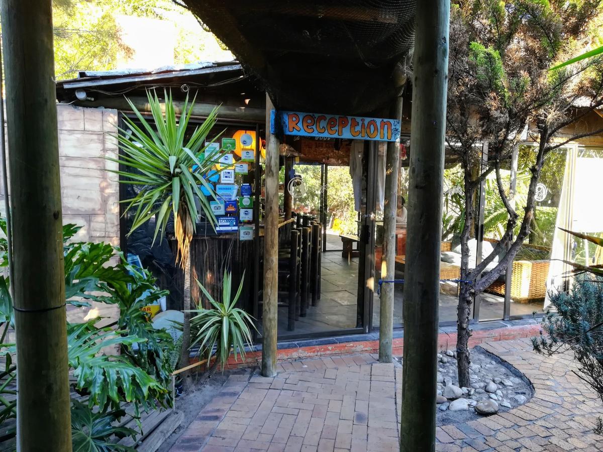 Saltycrax Backpackers And Surf Hostel By Curiocity Bloubergstrand Exteriör bild