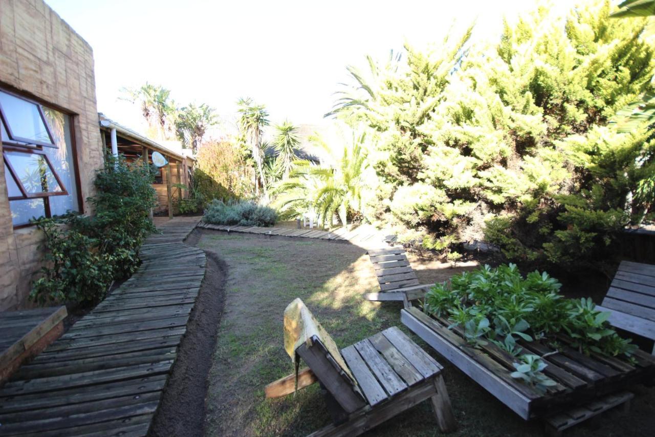 Saltycrax Backpackers And Surf Hostel By Curiocity Bloubergstrand Exteriör bild